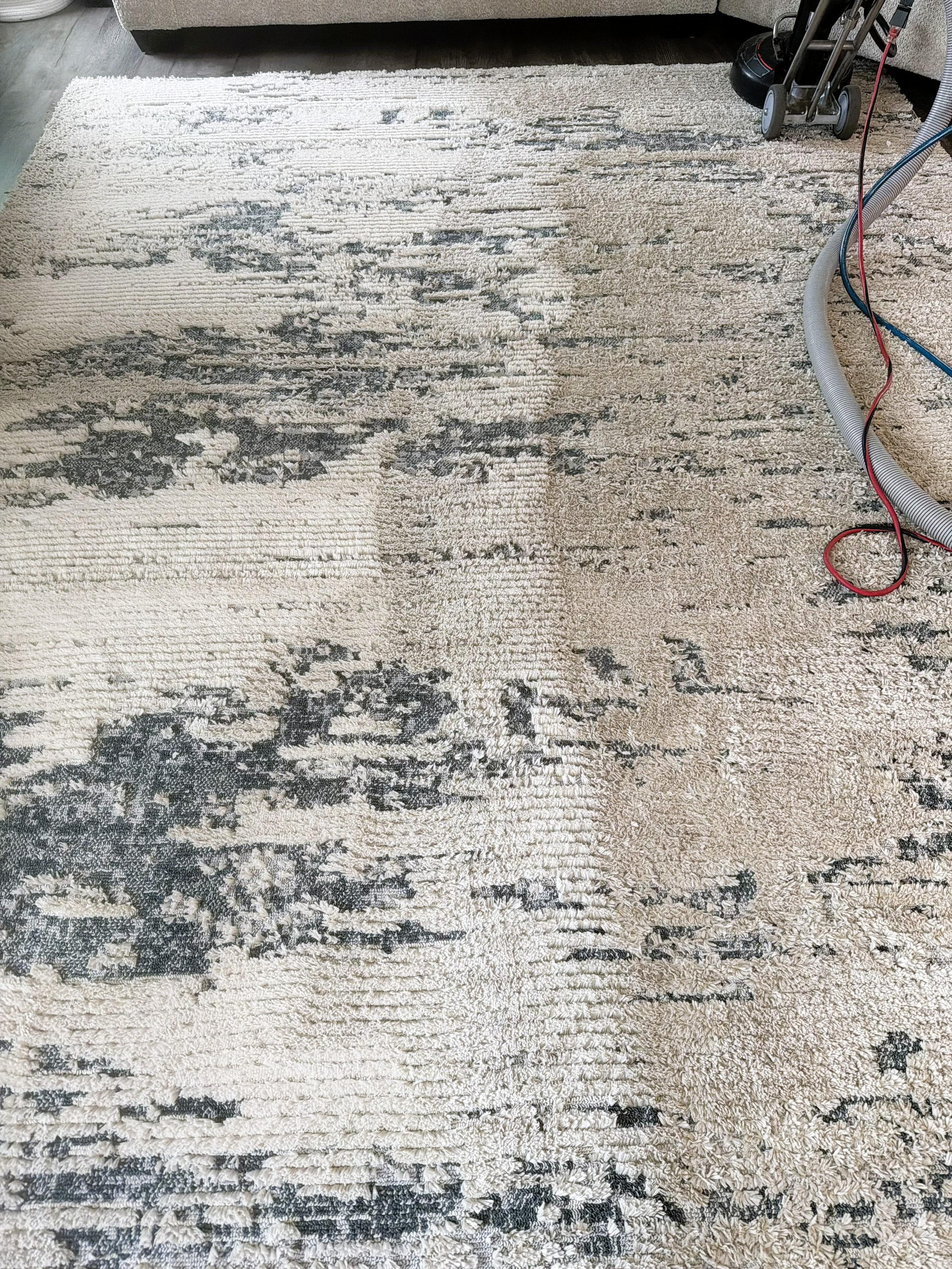 Area rug cleaning in progress with professional equipment