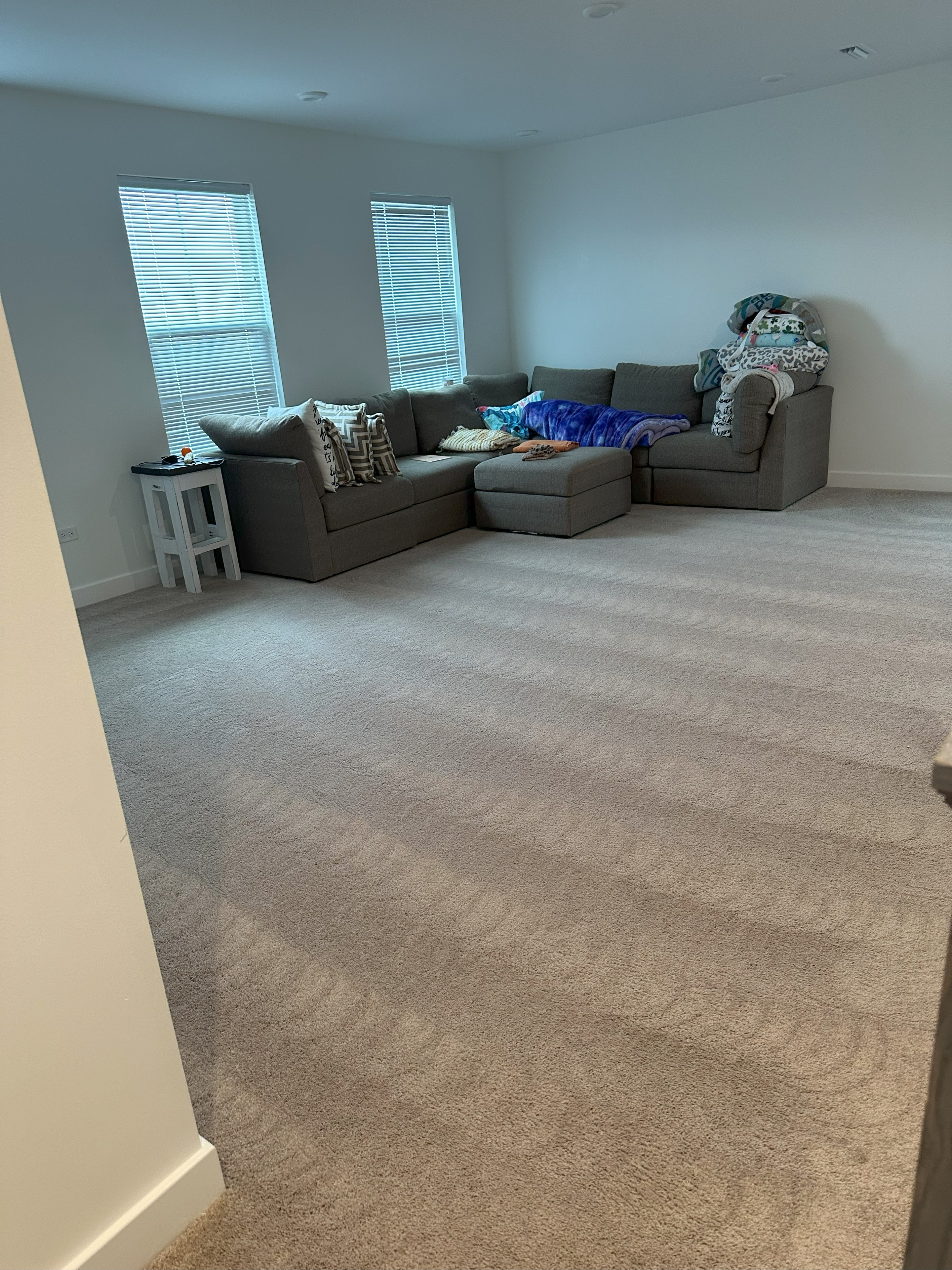 Area rug mid-cleaning showing the before and after split — herringbone pattern