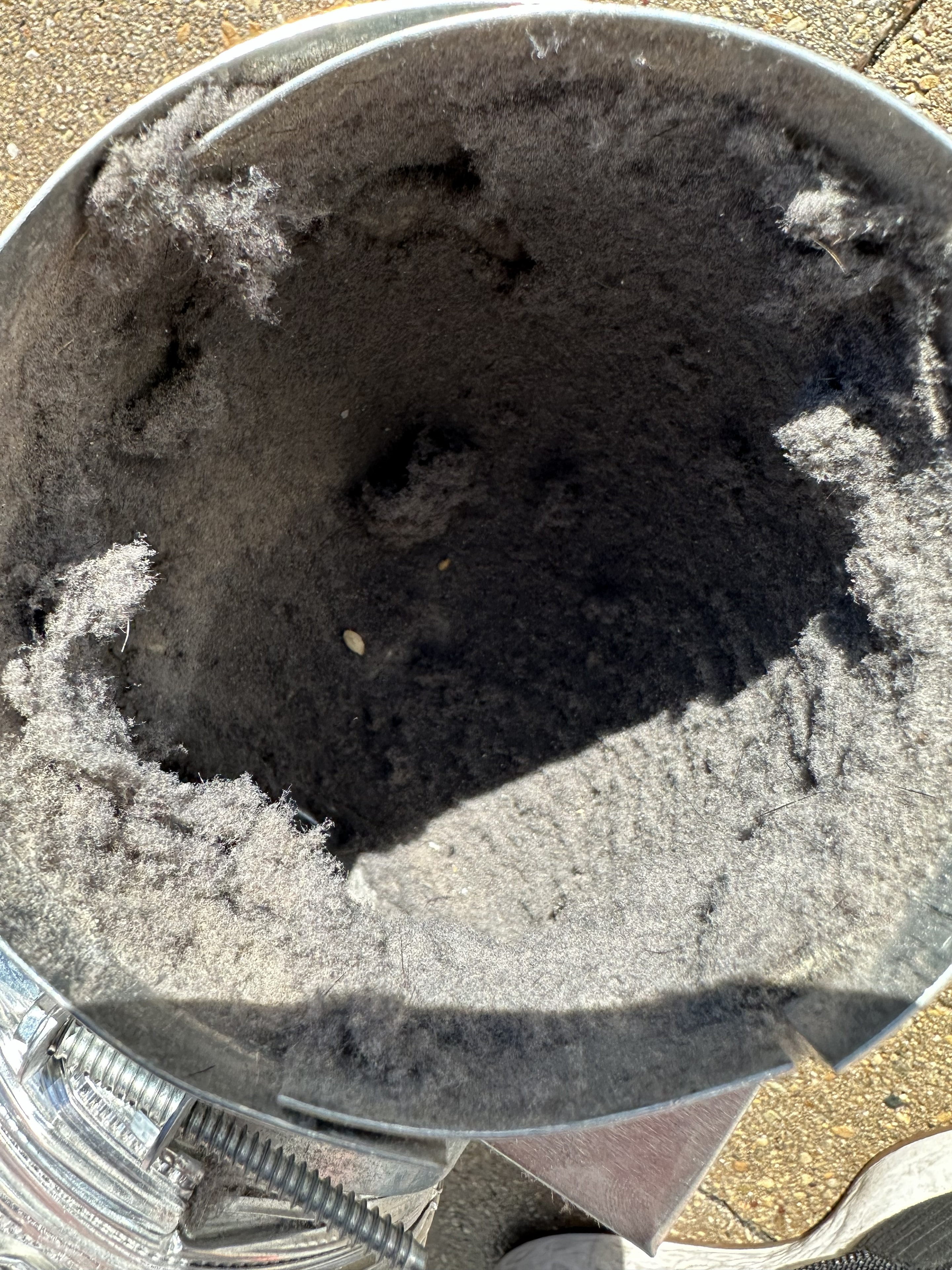 Interior dryer vent before cleaning — lint-caked duct walls