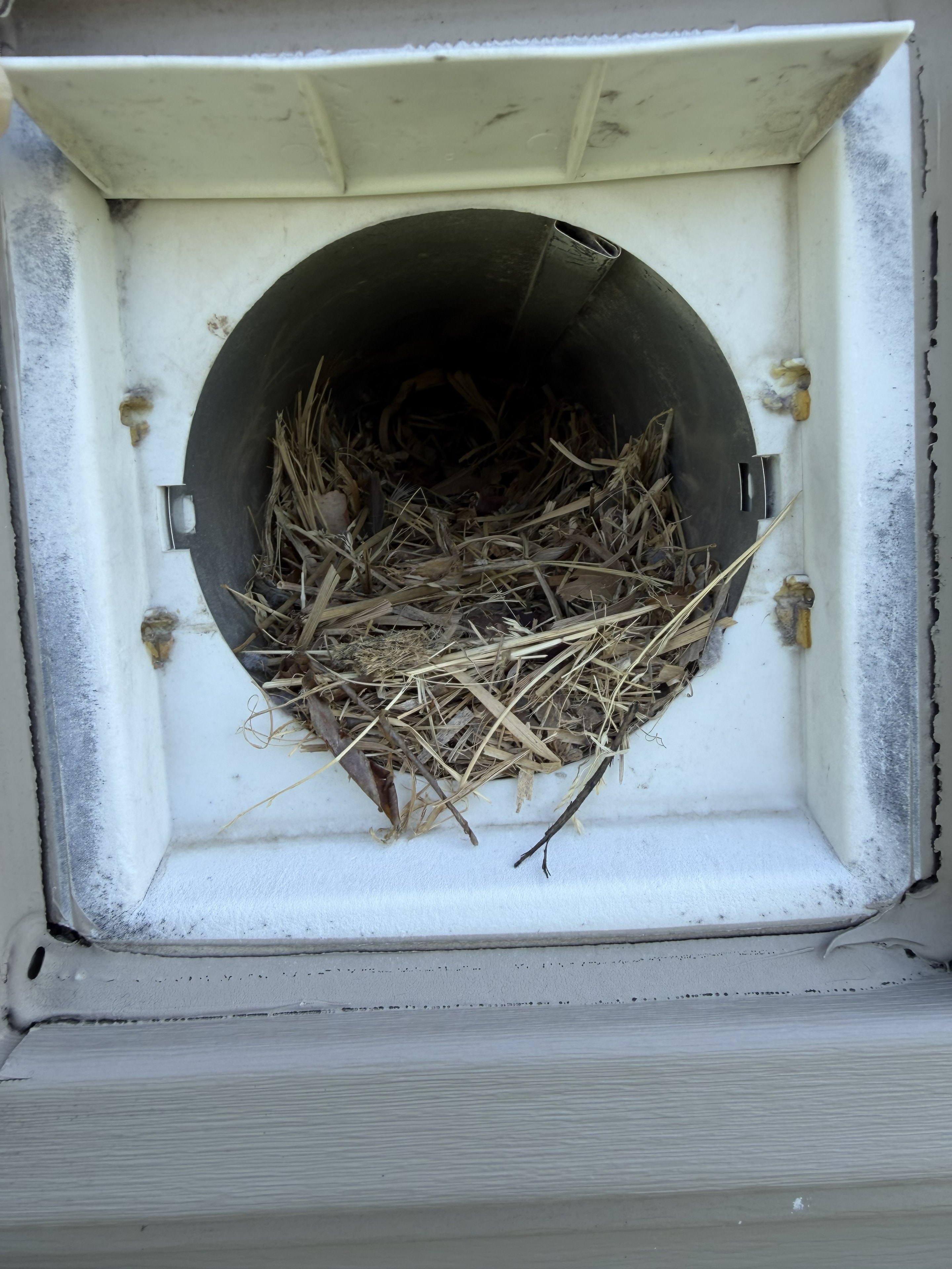 Dryer Vent Cleaning